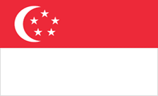 Купить домен .新加坡