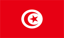 Купить домен .تونس
